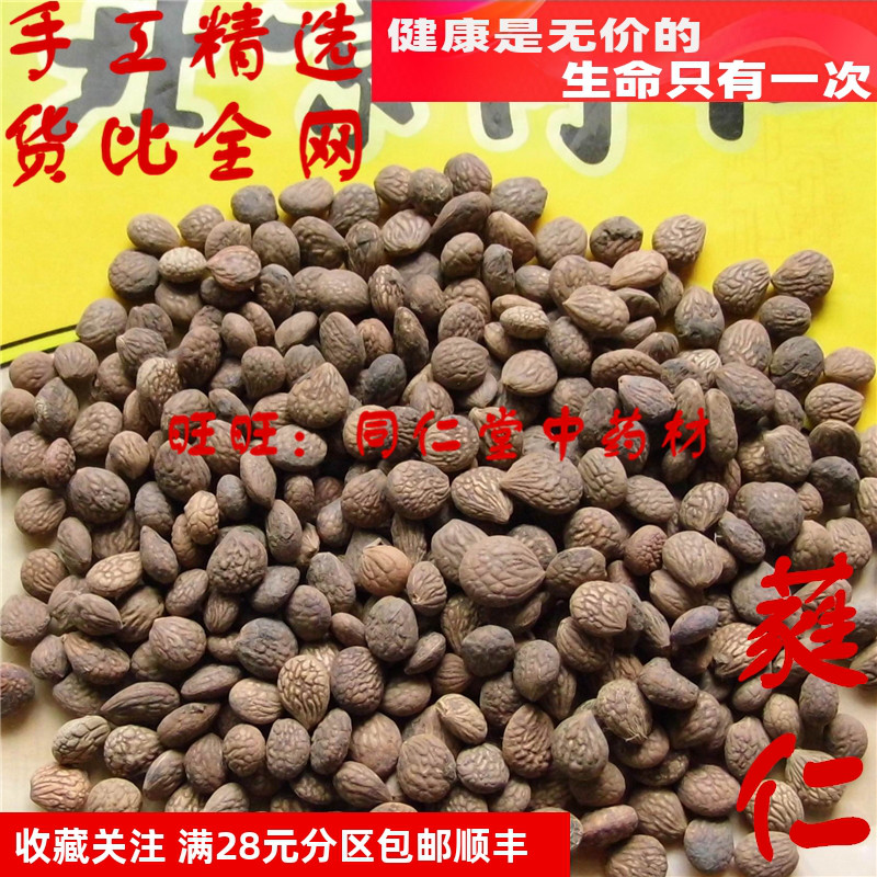 特级50克 蕤仁 可打粉 北京同某堂中药材同品质精选