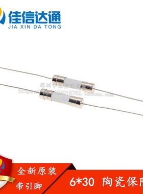 6*30mm陶瓷保险丝管250V 10A 12A 15A 20A 25A 30A 6X30带引线脚