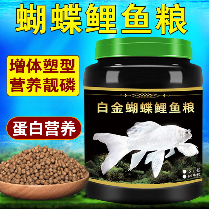 台湾白金龙凤专用饲料增体蝴蝶鲤