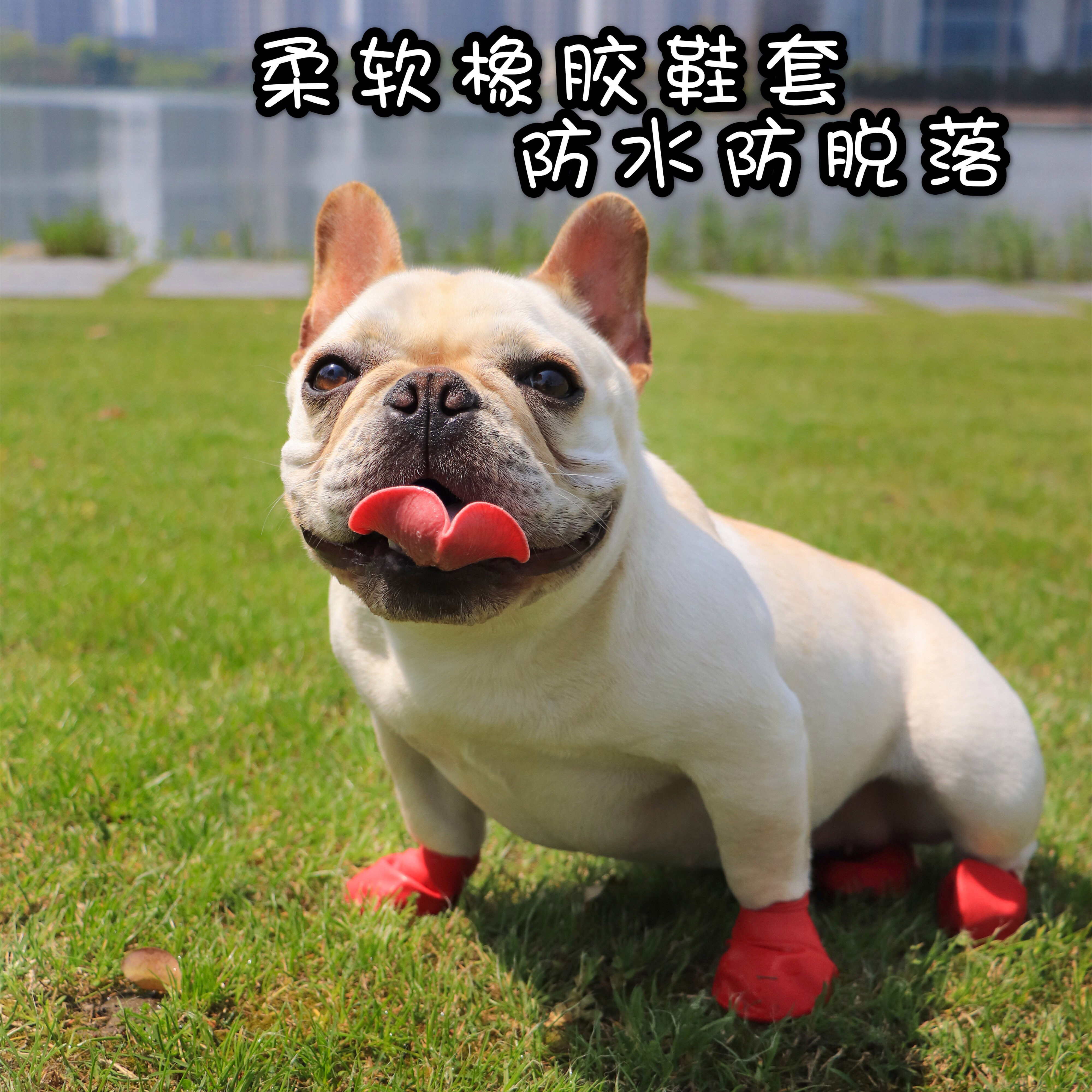 美国pawz狗狗鞋子防水雪宠物狗雨鞋法斗柯基泰迪比熊狗鞋宠物鞋