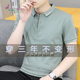 纯棉短袖 t恤男装 刺绣夏季 2024凉爽冰丝polo衫 简约翻领纯色保罗衫