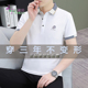 t恤男刺绣polo衫 20243D帽夏季 清凉冰丝简约商务休闲翻领纯棉短袖