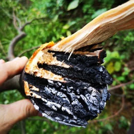 600米智能化激光清障仪电力电信物业高空切割树枝蜂窝鸟巢风筝线