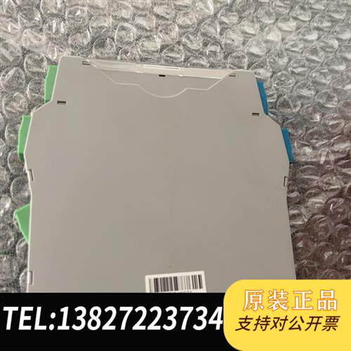 原装正品  辰竹 GS8519-EX.22  二进二出 开关量输入 晶体  议价
