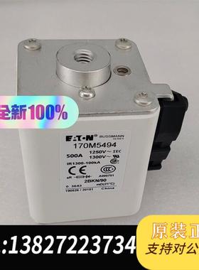 快速熔断器熔芯170M5494 170M5494 170M5需询价