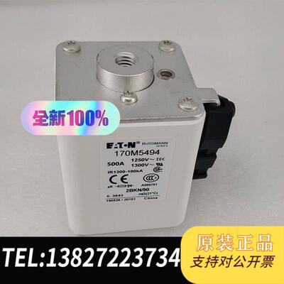 快速熔断器熔芯170M5494 170M5494 170M5需询价