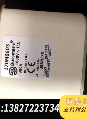 全新原装巴斯曼熔断器170M6603，底价处理一批，需询价