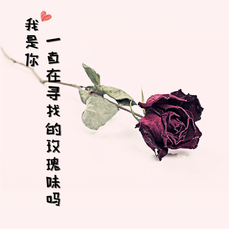 玫瑰味的香水都在这儿了