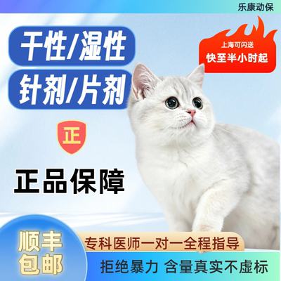 猫咪腹大口服足量成份