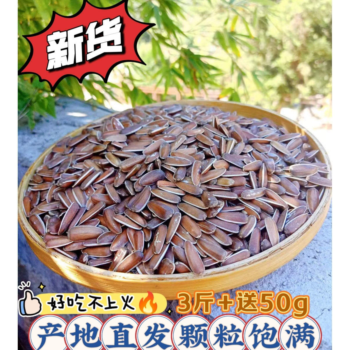 云南红皮生瓜子葵花籽原味零食甜糯25新货包邮3斤+送50g