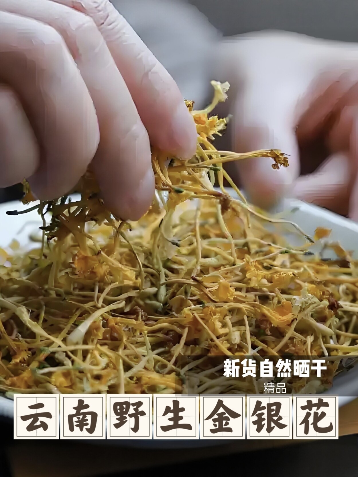 云南野生金银花新货头茬花草凉茶干花散装泡茶