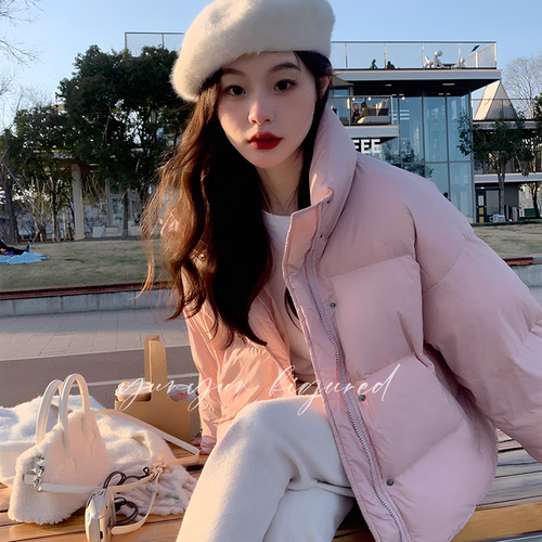 女短款羽绒服定制翻新自充鹅绒