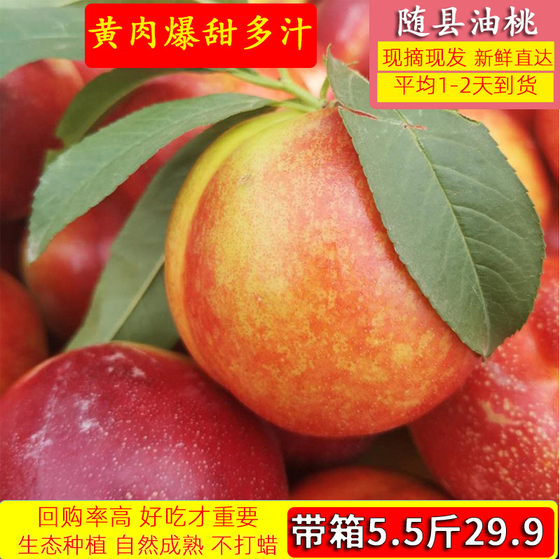 随州黄心油桃李子黄桃胭脂红甜蜜多汁清脆黄肉桃子大个超甜现发