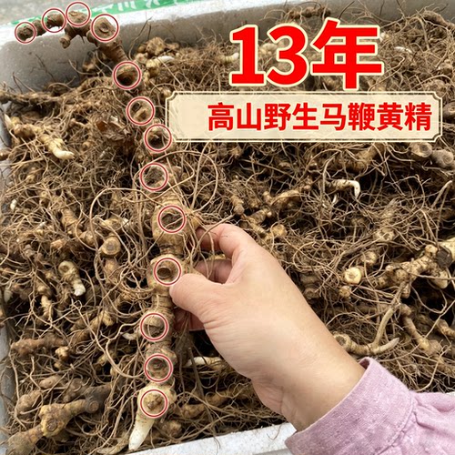 高海拔野生马鞭黄精老年份5-17年新鲜黄精煲汤泡酒中药材正品安化