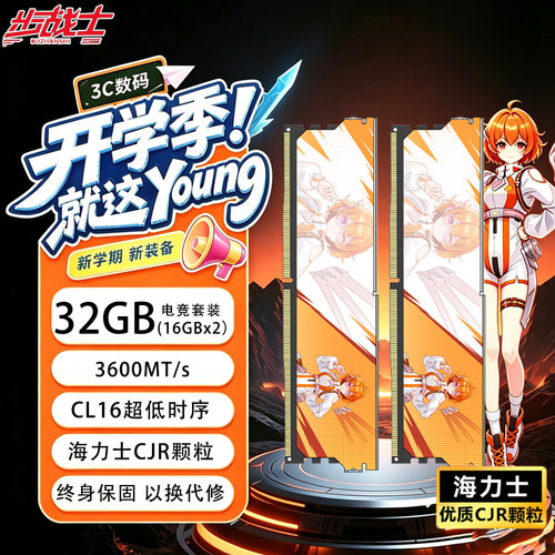 16GX2电竞内存条CL16海力士颗粒