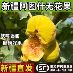 新疆无花果阿图什糖包子新鲜应季水果孕妇营养高端水果顺丰包邮