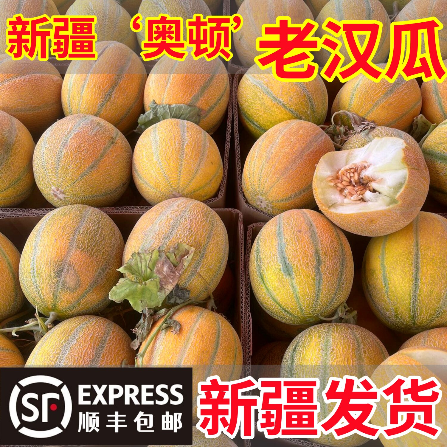 新疆老汉瓜金纹蜜瓜水果哈密瓜新鲜冰淇淋网纹软糯老人甜瓜顺丰