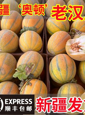 【官方优选】新疆金纹老汉瓜