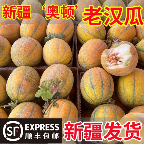 【官方优选】新疆金纹老汉瓜