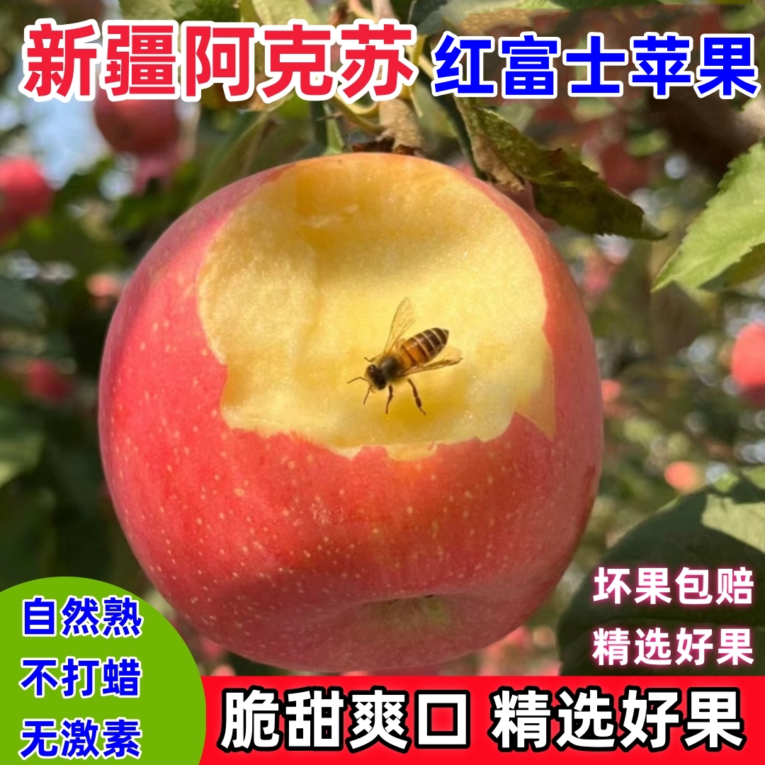 正宗新疆阿克苏嘎啦苹果