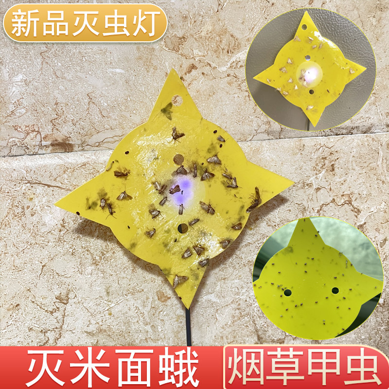 抓小飞虫灭杀神器灭虫灯去除烟草甲虫驱赶米面蛾小飞蛾蚤蝇诱捕器