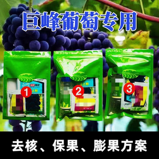 巨峰葡萄去核保果膨果膨大剂处理剂兰月高收软梗上粉叶面肥