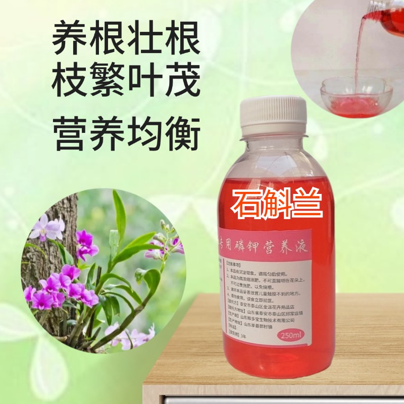 澳洲香水石斛兰花苗铁皮石斛专用磷钾营养液家盆地栽水培水溶性肥