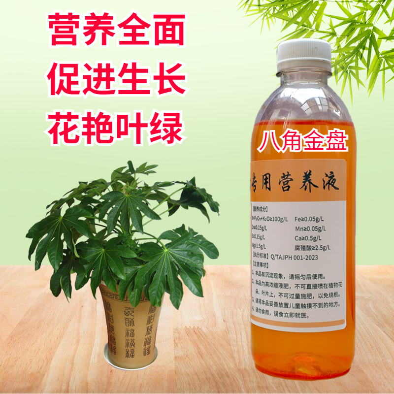 八角金盘专用营养液家用庭院盆栽种菜花卉绿化植物氮磷钾水溶性肥 鲜花速递/花卉仿真/绿植园艺 家庭园艺肥料 原图主图