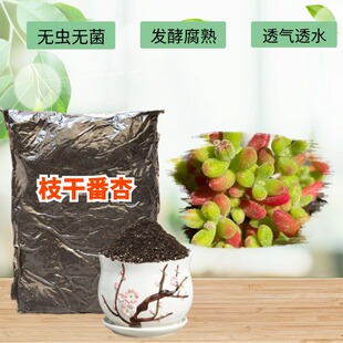 糖球枝干番杏米粒钻石冰晶专用椰砖土家盆栽翻换疏松透气种植花土