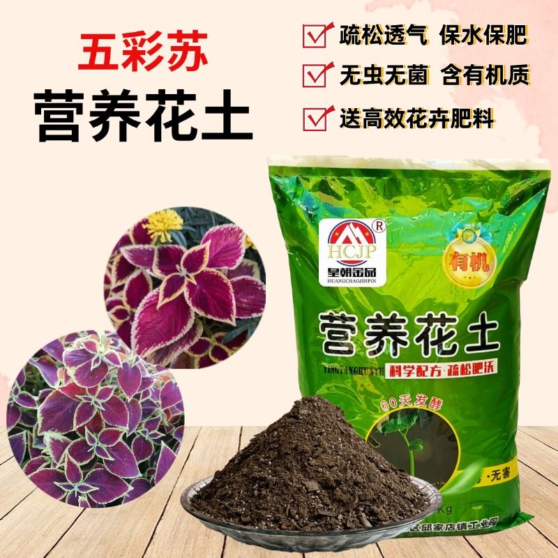五彩苏彩叶草专用营养花土家用盆地栽种植物翻换疏松透气花草花土