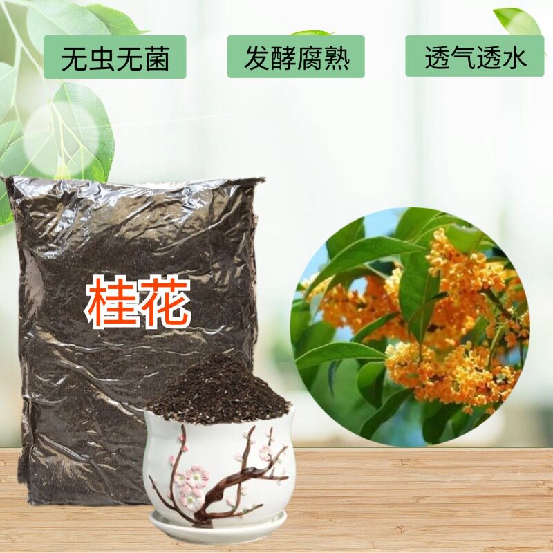 桂花树苗椰砖土金桂银桂四季桂丹桂盆地栽专用翻换疏松透气种植土