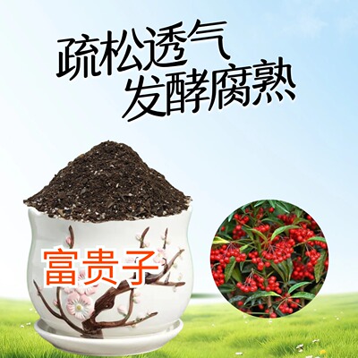 金玉满堂富贵籽子营养花土家用盆地栽专用翻换疏松透气种植营养土