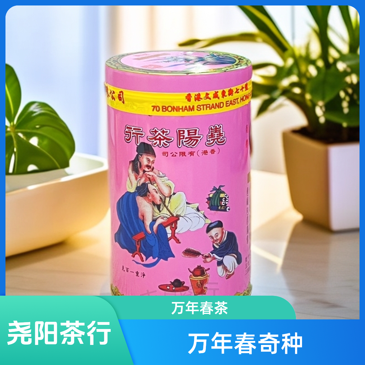 尧阳茶行香港尧阳茶行万年春奇种老枞水仙蔡澜先生推荐茶特级炭焙