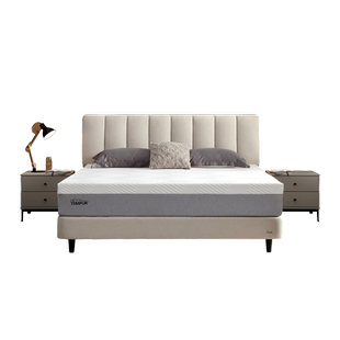 TEMPUR泰普尔智能睡眠系统睡眠监测鼾声干预Smart智能电动床床垫