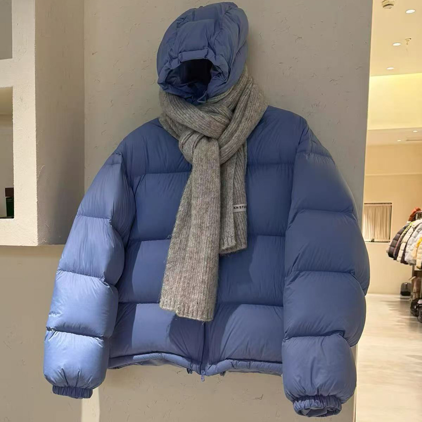 短款连帽白鸭绒保暖羽绒服女