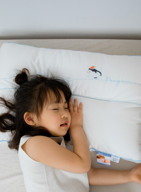 A类全棉儿童枕芯幼儿园宝宝枕头30*50可水洗防螨抑菌枕学生枕4060