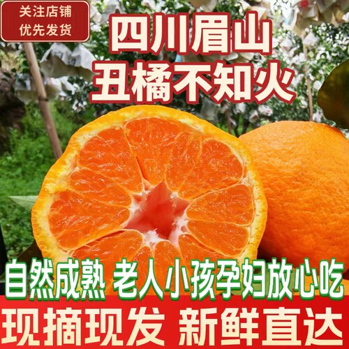 四川眉山丑橘不知火自然熟柑橘孕妇水果当季新鲜现摘丑柑酸脆包邮