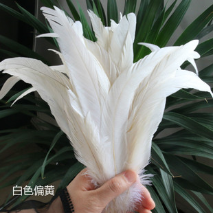 diy手工羽毛长羽毛尾毛饰品配件服装辅料