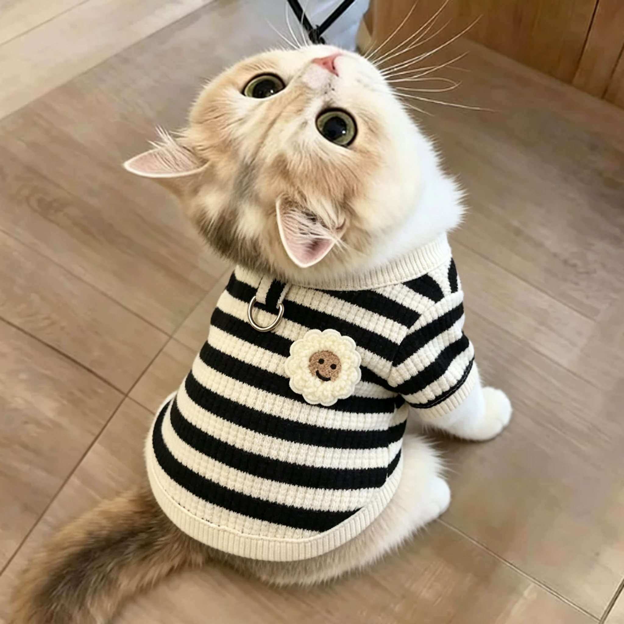 猫咪衣服秋季防掉毛小猫秋天幼猫护肚子春秋短袖秋装保暖冬季装扮