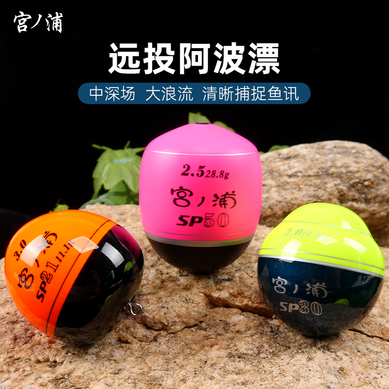 宫浦远投阿波钓中通外挂号海浮漂