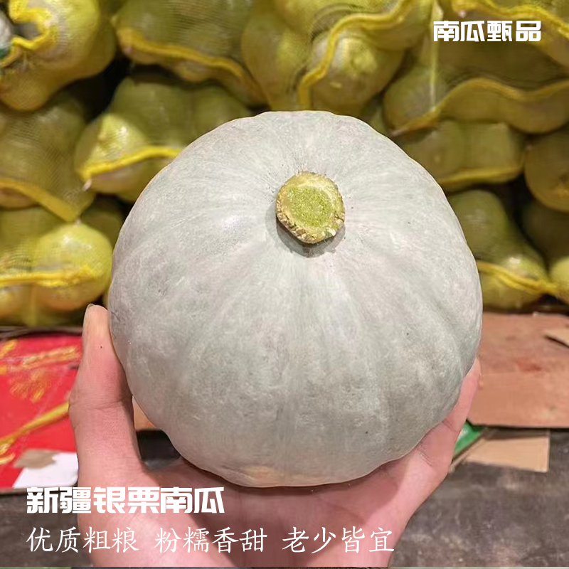 【南瓜甄品】新疆银板栗南瓜 银色板栗味南瓜 粉糯香甜老南瓜5斤