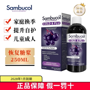 现货仓 澳洲Sambucol善倍康小黑果恢复糖浆250ml内服口服液家庭款