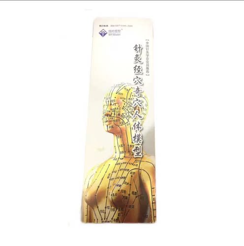 伟业模型男型