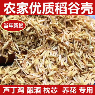 【稻壳】新鲜稻糠酿酒填充干净种花养草特价枕头稻谷壳芦丁鸡饲料