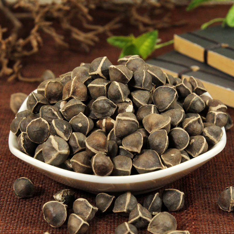 正宗印度进口辣木籽食用精选特级辣木子500克包邮