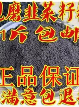 中药材 韭菜籽粉炎黄韭菜子粉韮菜籽炒熟500g包邮