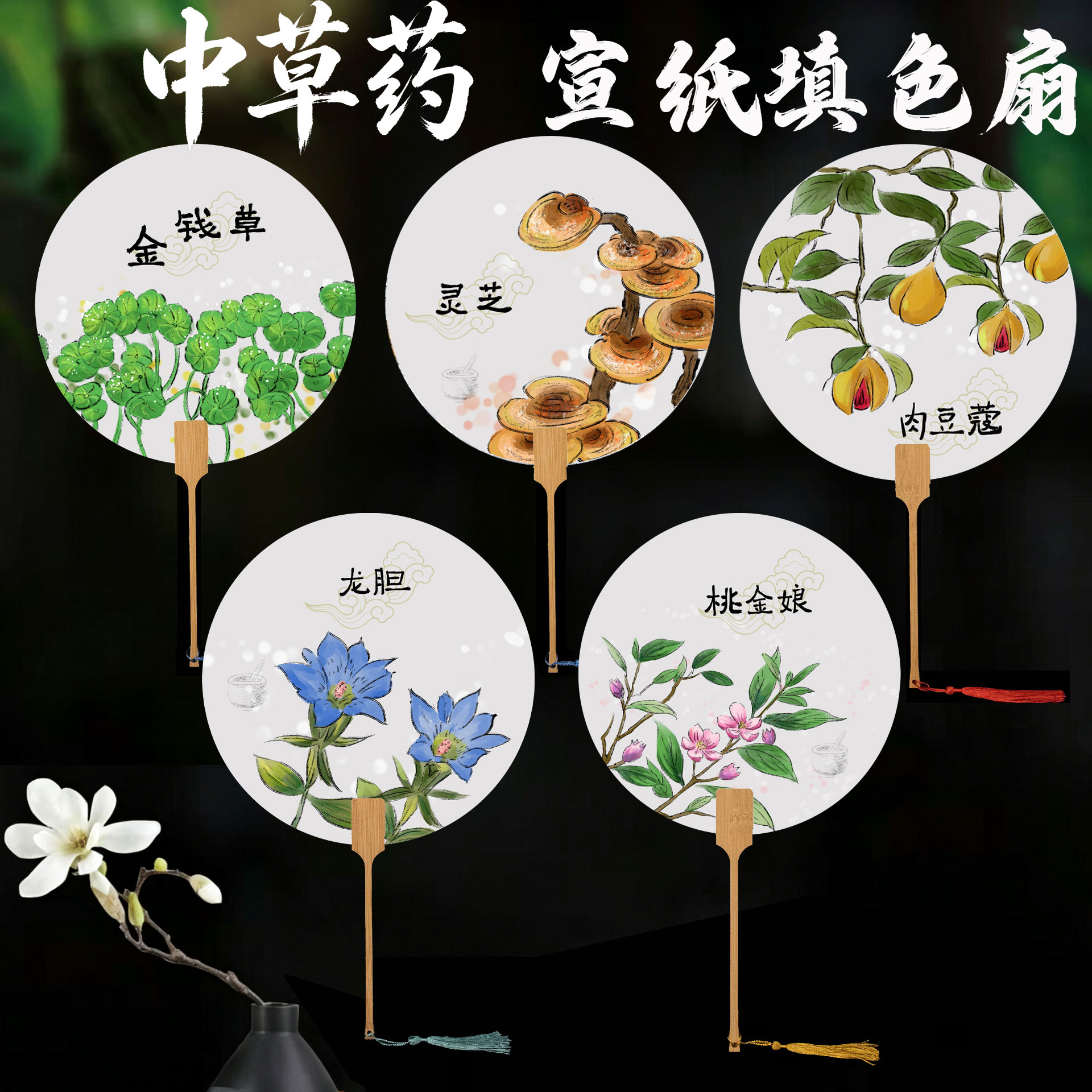 中草药古风手绘团扇空白扇子DIY中国风花卉图案书画团扇绘画材料