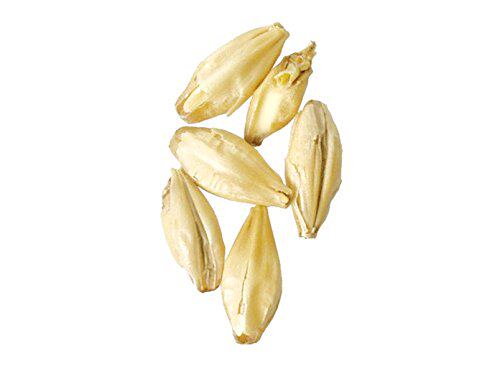 Malt - Malting co. of Ireland Ale - 1 lb Milled|msdalam kategori lampin/Xihu/makan/push pelarik, tali/Anak Kecil/barang perjalanan, 儿童牵引绳 - dari Buy2taobao.com untuk memberikan perkhidmatan ejen Taobao profesional membeli