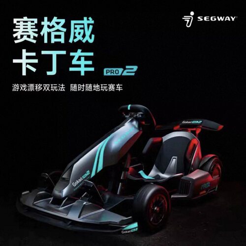 九号卡丁车pro2成年漂移ninebot