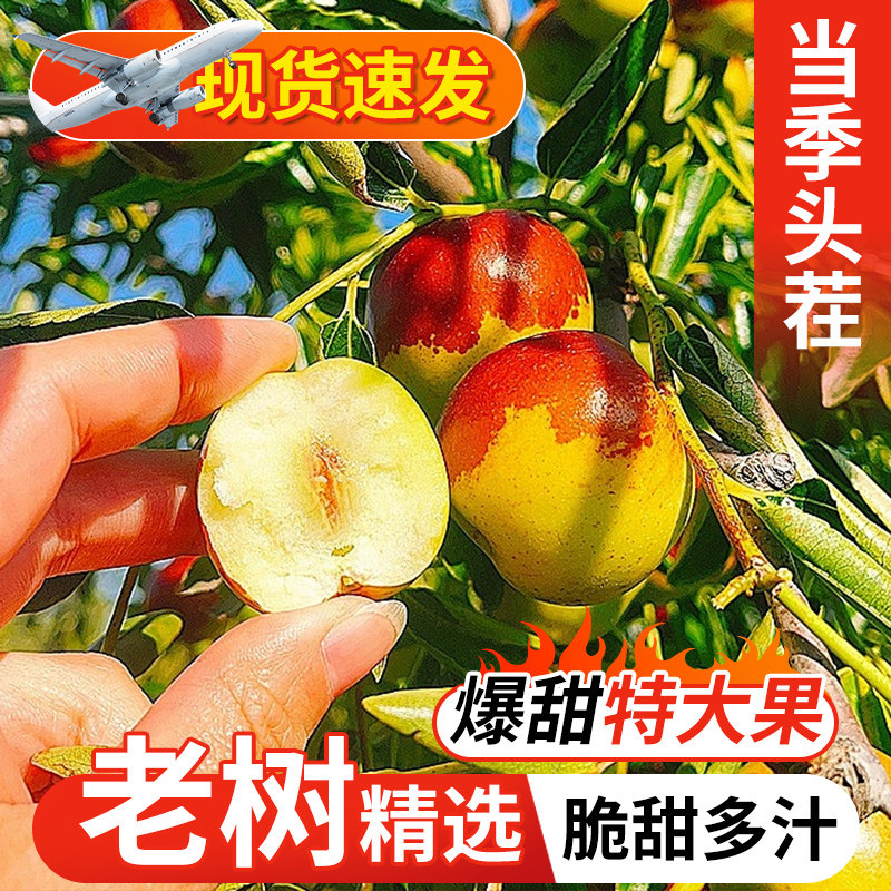 正宗二代沾化冬枣新鲜水果应当季大枣脆甜枣枣子当季枣孕妇水果
